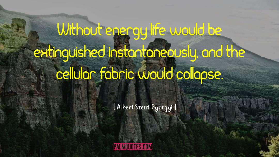 Albert Szent-Gyorgyi Quotes: Without energy life would be