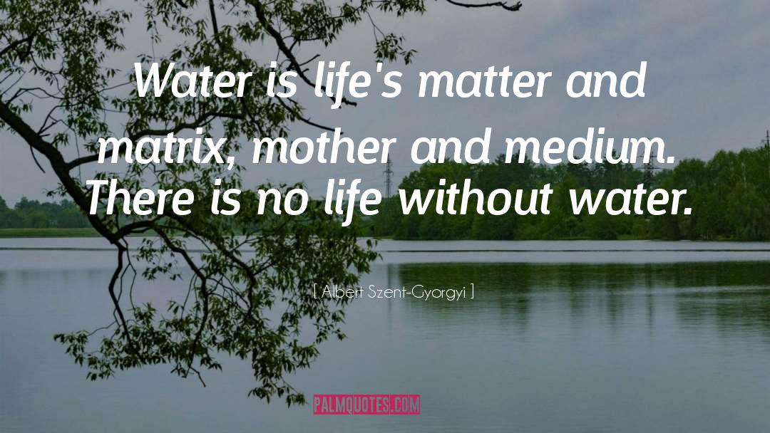 Albert Szent-Gyorgyi Quotes: Water is life's matter and