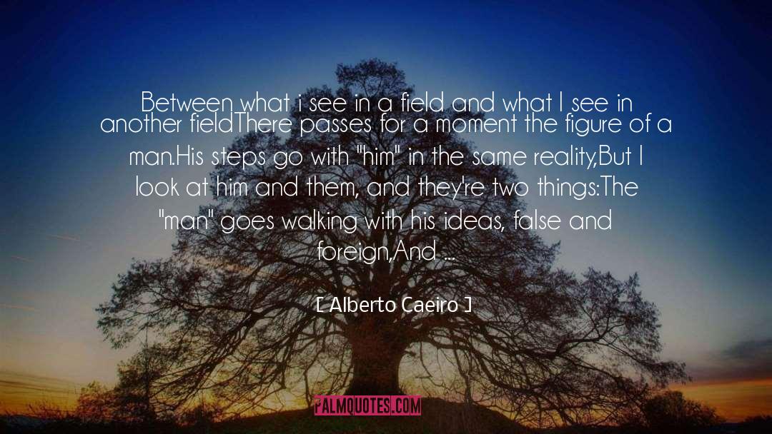 Alberto Caeiro Quotes: Between what i see in