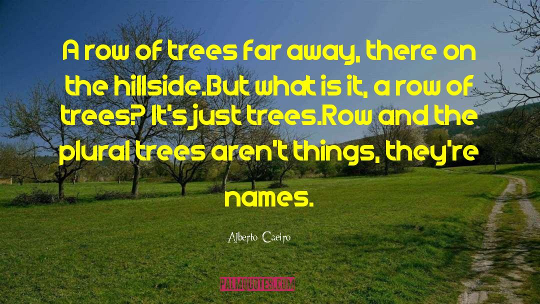 Alberto Caeiro Quotes: A row of trees far