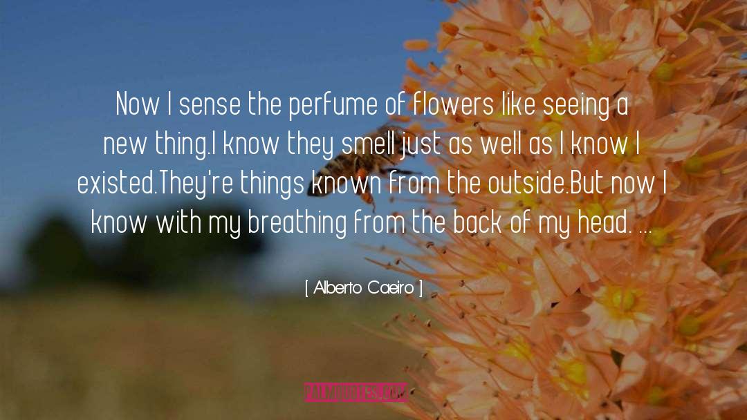 Alberto Caeiro Quotes: Now I sense the perfume