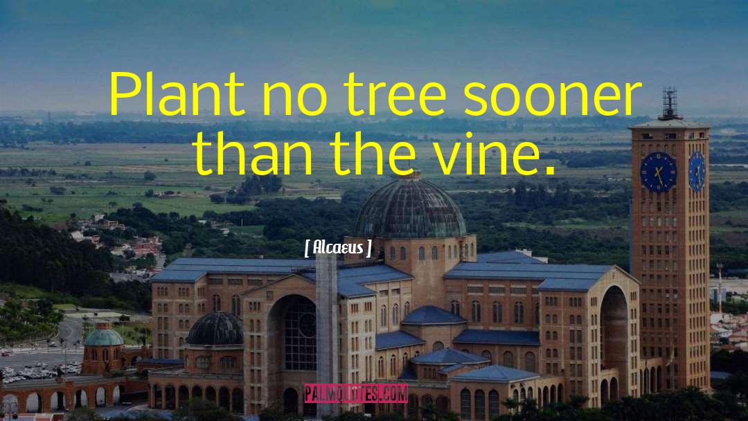Alcaeus Quotes: Plant no tree sooner than