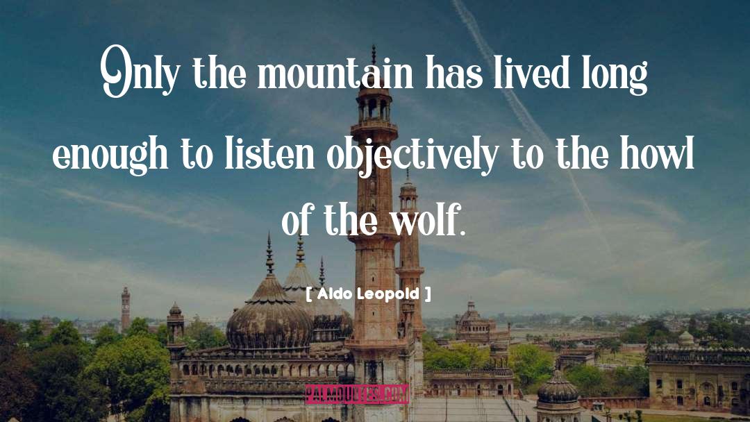 Aldo Leopold Quotes: Only the mountain has lived