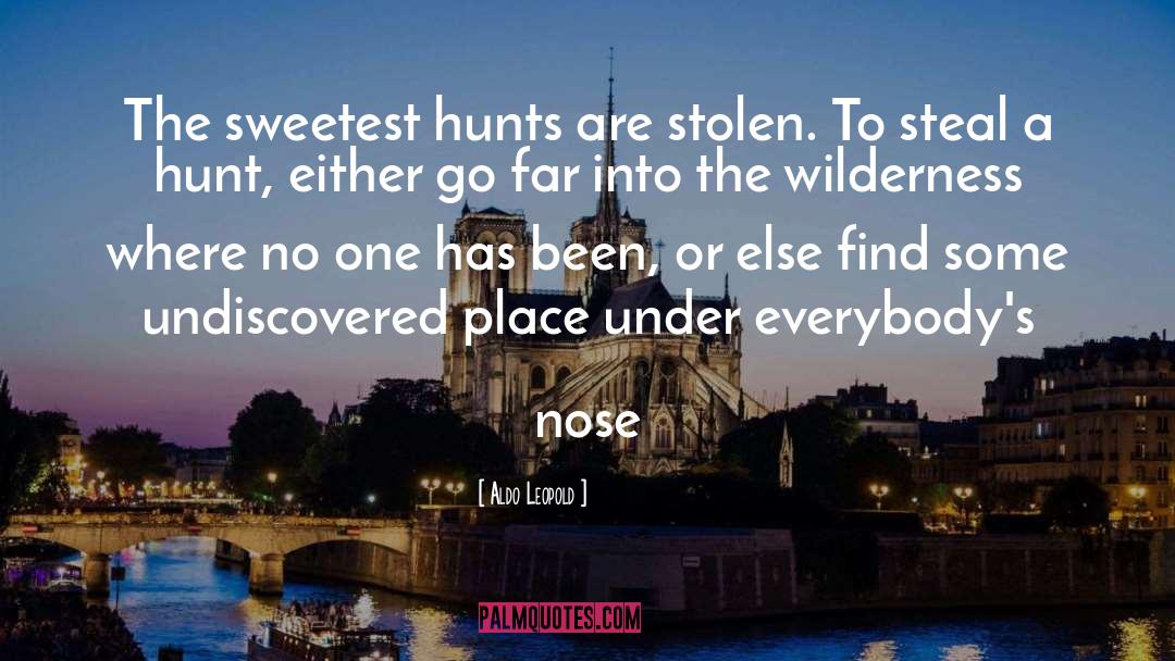Aldo Leopold Quotes: The sweetest hunts are stolen.