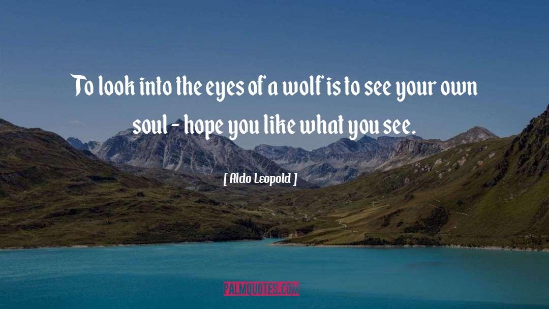 Aldo Leopold Quotes: To look into the eyes