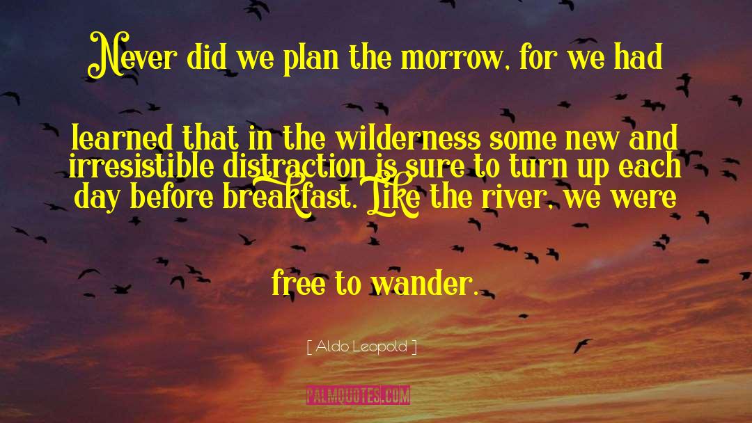 Aldo Leopold Quotes: Never did we plan the