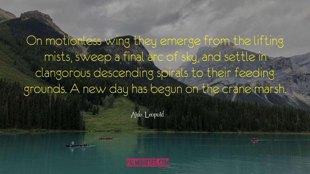 Aldo Leopold Quotes: On motionless wing they emerge