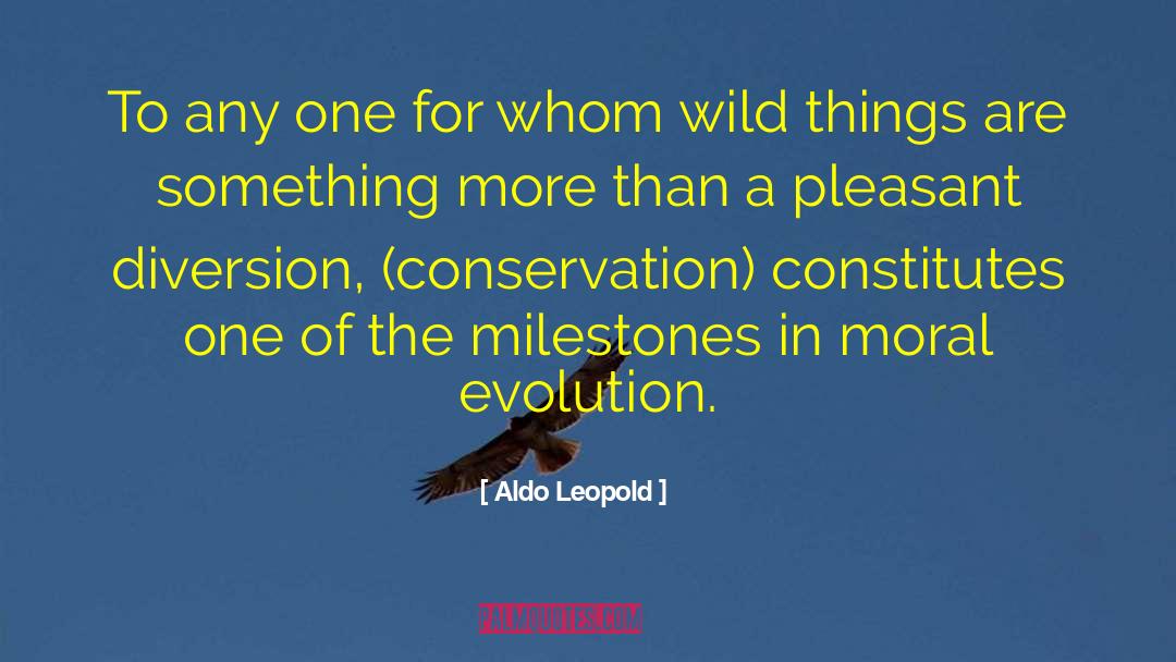 Aldo Leopold Quotes: To any one for whom