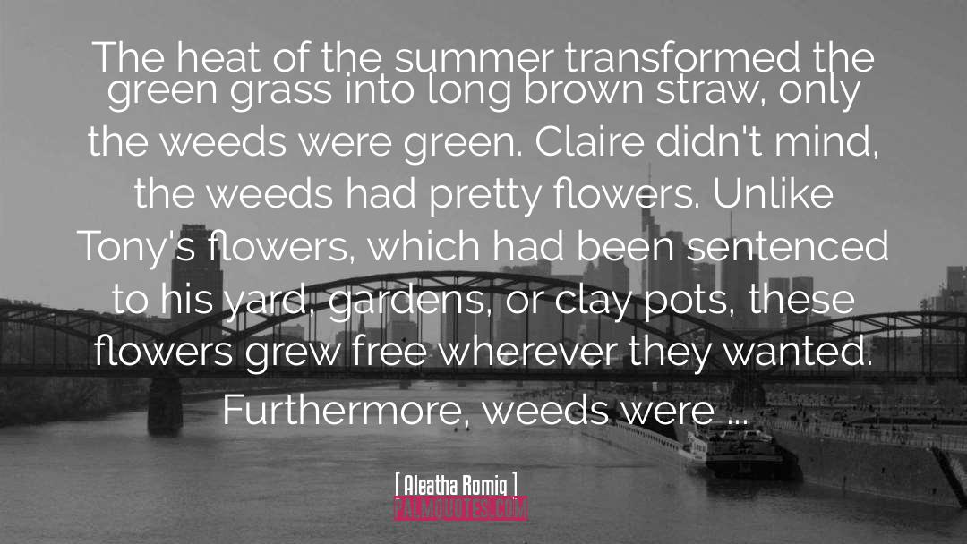 Aleatha Romig Quotes: The heat of the summer