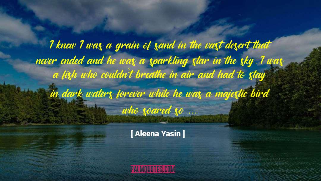 Aleena Yasin Quotes: I knew I was a