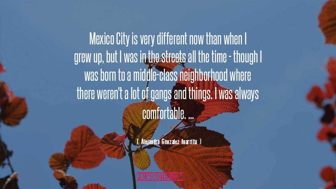 Alejandro Gonzalez Inarritu Quotes: Mexico City is very different