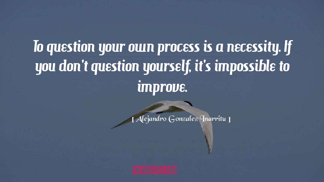 Alejandro Gonzalez Inarritu Quotes: To question your own process