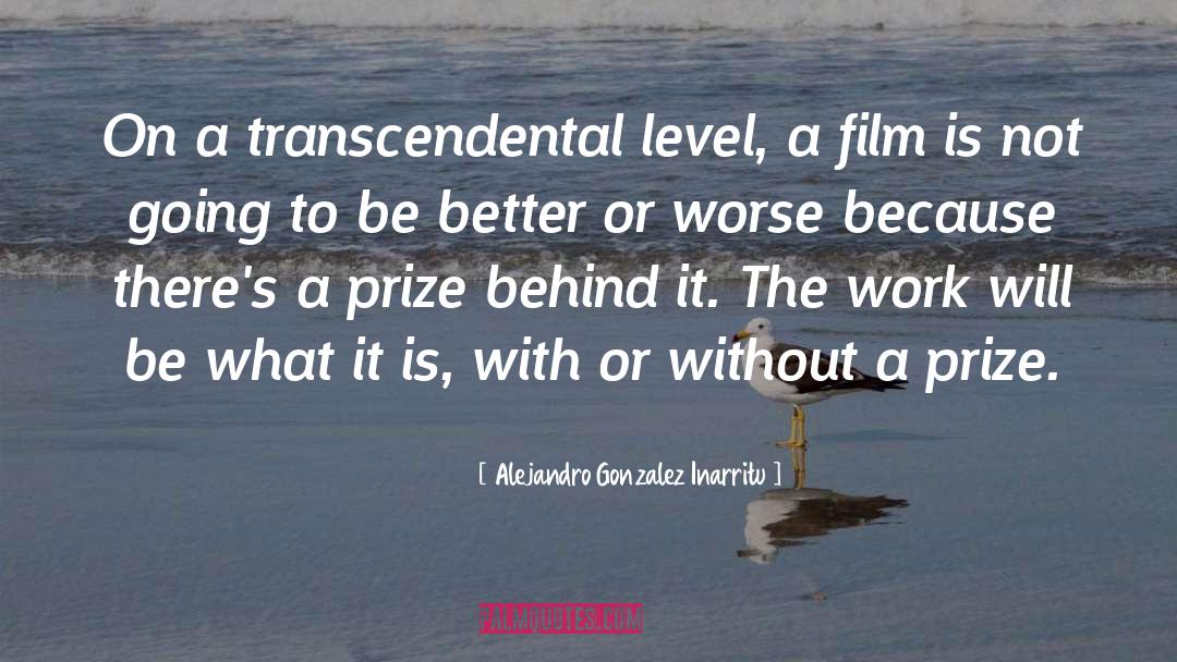 Alejandro Gonzalez Inarritu Quotes: On a transcendental level, a