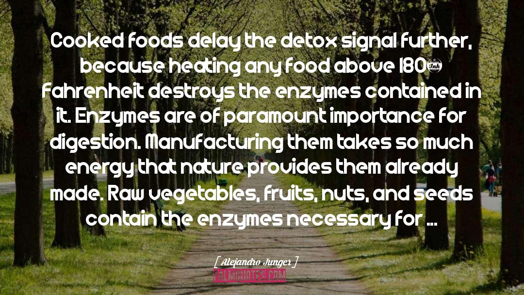 Alejandro Junger Quotes: Cooked foods delay the detox