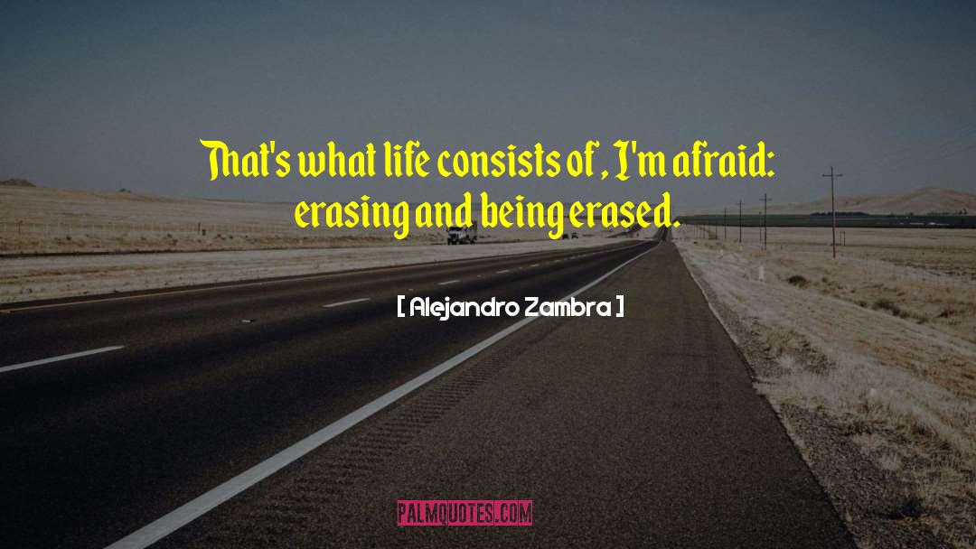 Alejandro Zambra Quotes: That's what life consists of,
