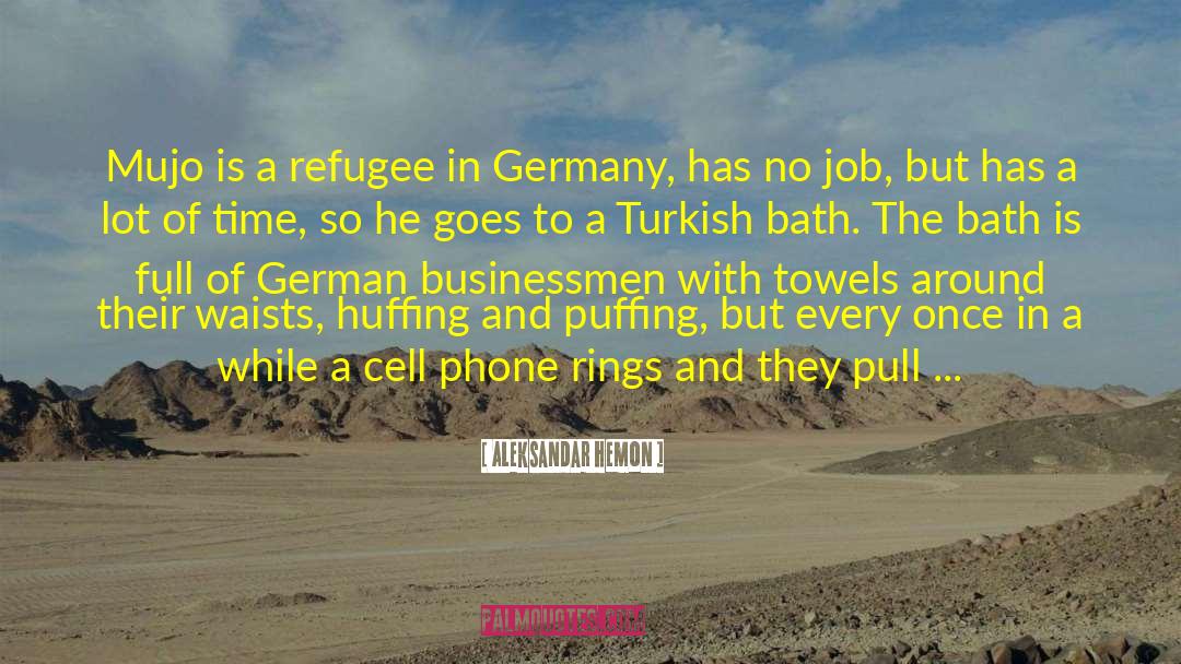 Aleksandar Hemon Quotes: Mujo is a refugee in