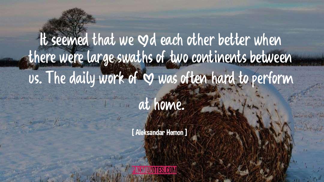 Aleksandar Hemon Quotes: It seemed that we loved