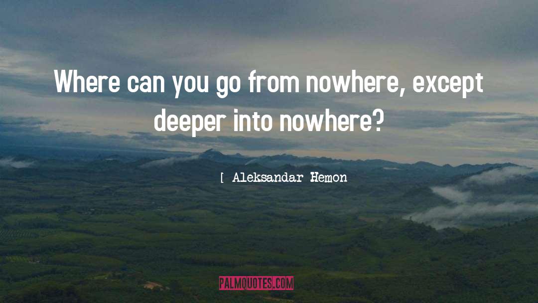 Aleksandar Hemon Quotes: Where can you go from