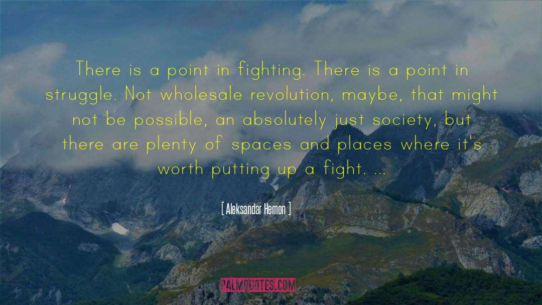 Aleksandar Hemon Quotes: There is a point in