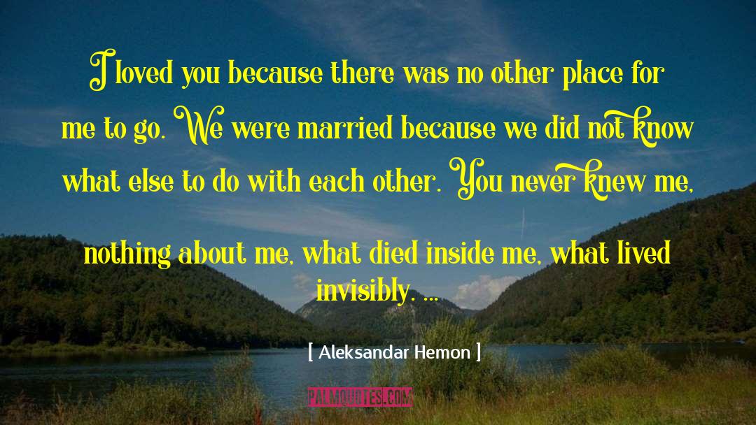 Aleksandar Hemon Quotes: I loved you because there