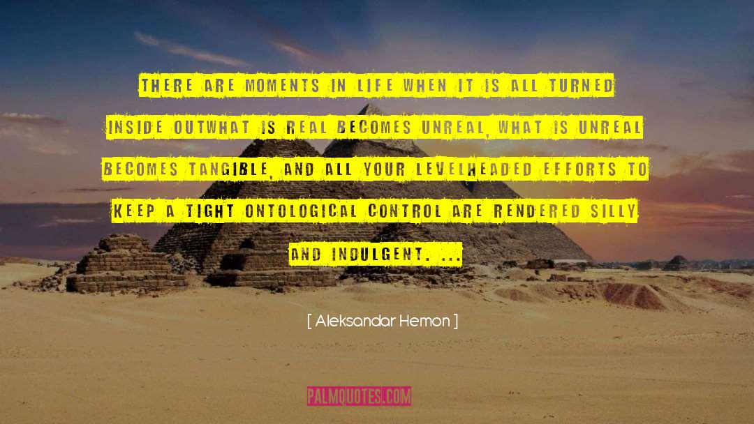 Aleksandar Hemon Quotes: There are moments in life