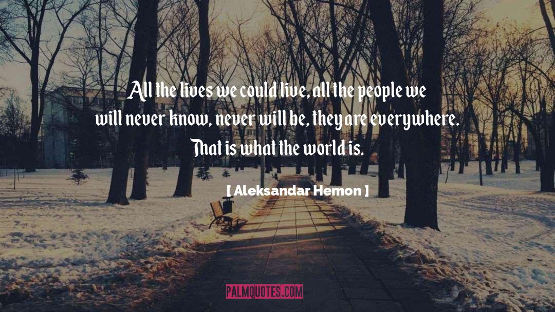 Aleksandar Hemon Quotes: All the lives we could