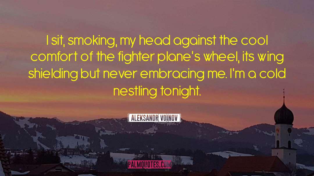 Aleksandr Voinov Quotes: I sit, smoking, my head