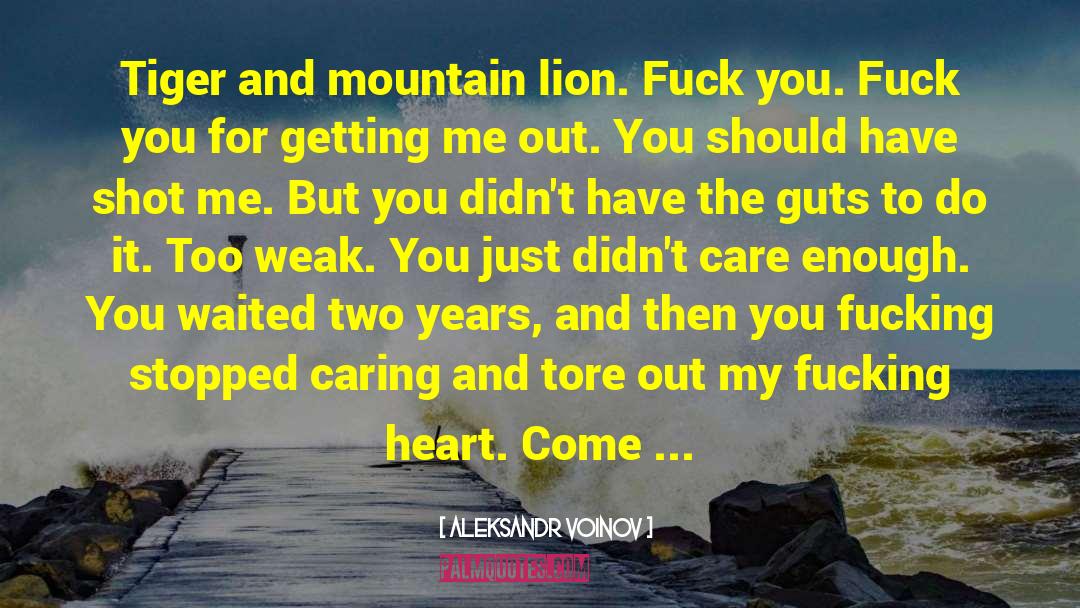 Aleksandr Voinov Quotes: Tiger and mountain lion. Fuck