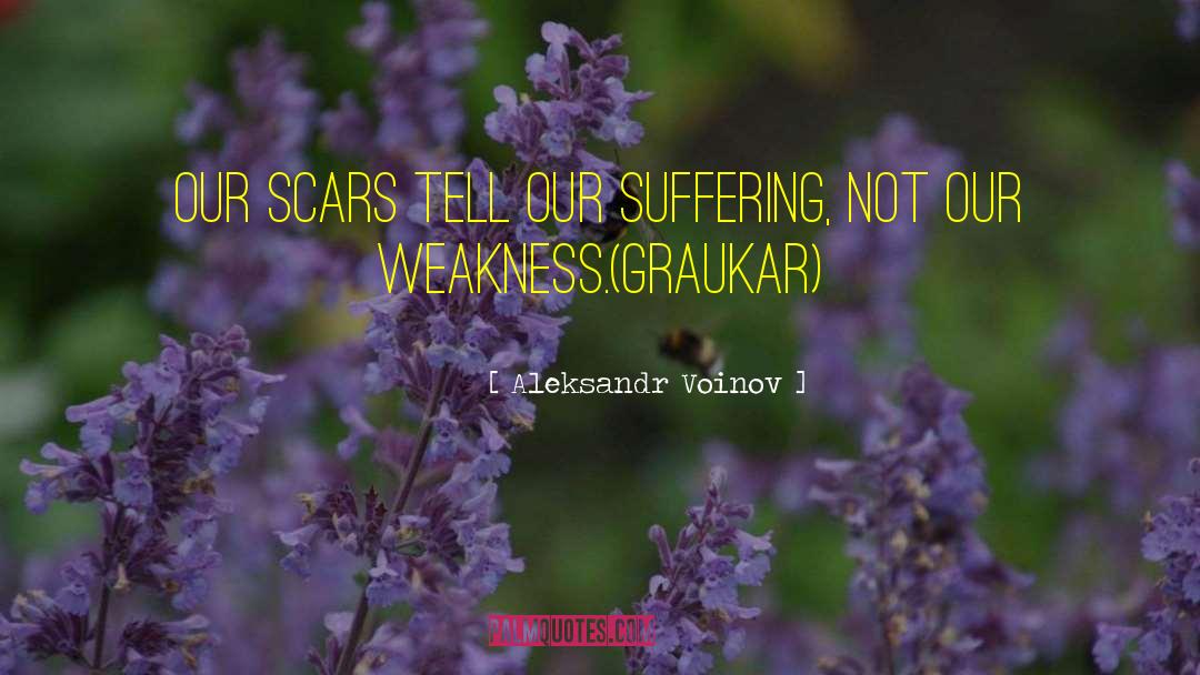 Aleksandr Voinov Quotes: Our scars tell our suffering,