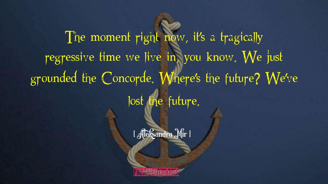 Aleksandra Mir Quotes: The moment right now, it's