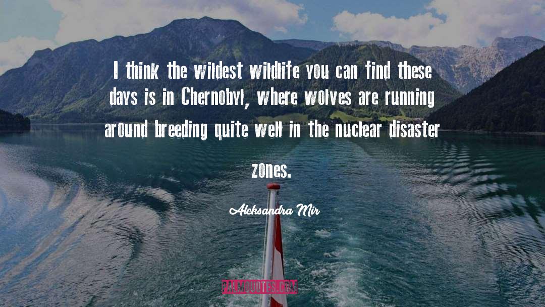 Aleksandra Mir Quotes: I think the wildest wildlife