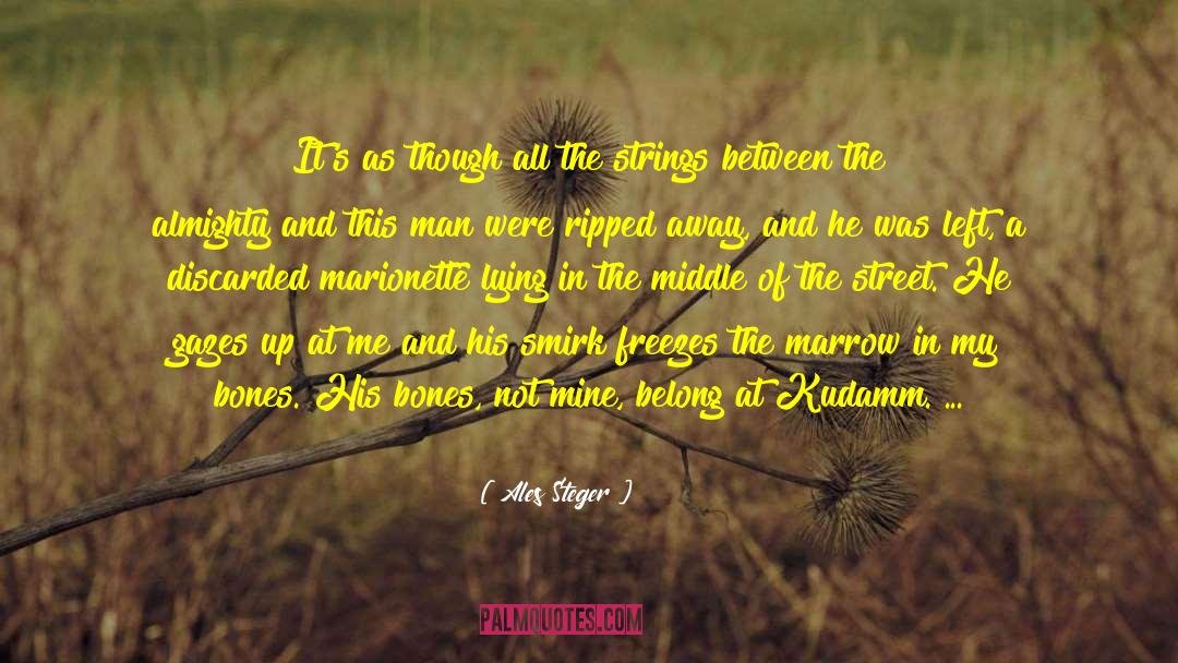 Ales Steger Quotes: It's as though all the
