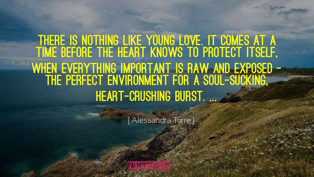 Alessandra Torre Quotes: There is nothing like young