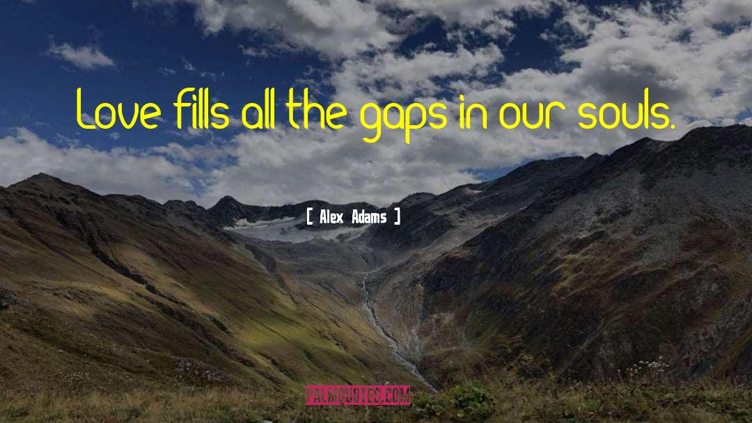 Alex Adams Quotes: Love fills all the gaps