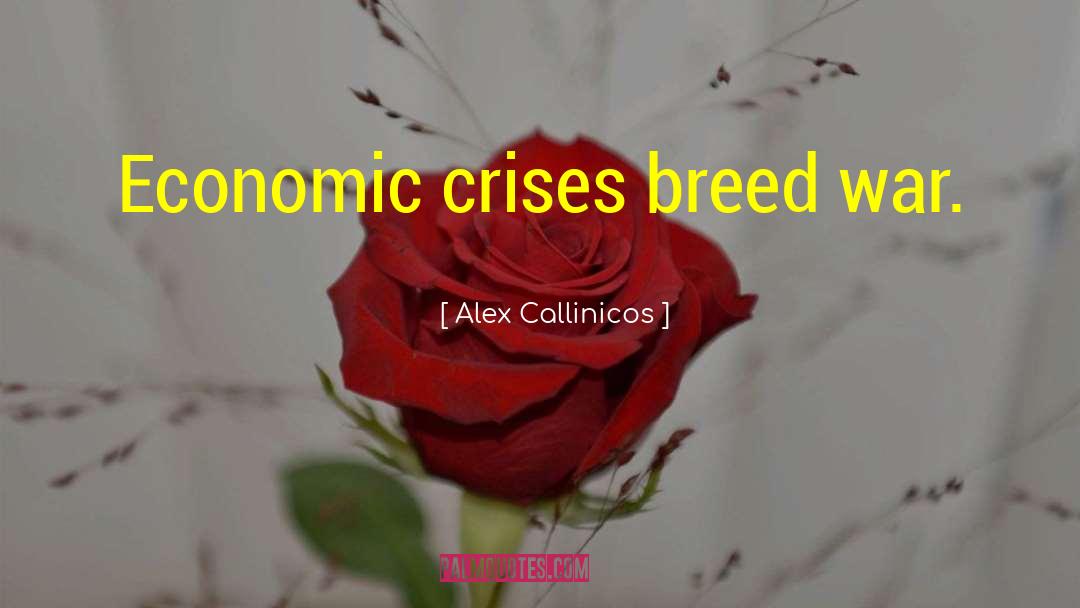 Alex Callinicos Quotes: Economic crises breed war.