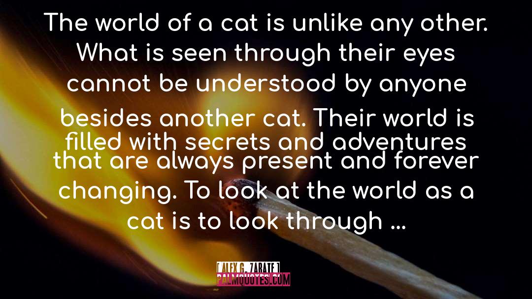 Alex G. Zarate Quotes: The world of a cat