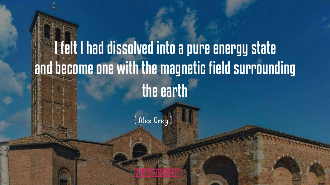 Alex Grey Quotes: I felt I had dissolved