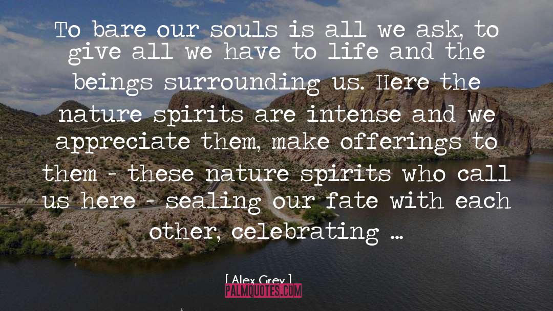 Alex Grey Quotes: To bare our souls is