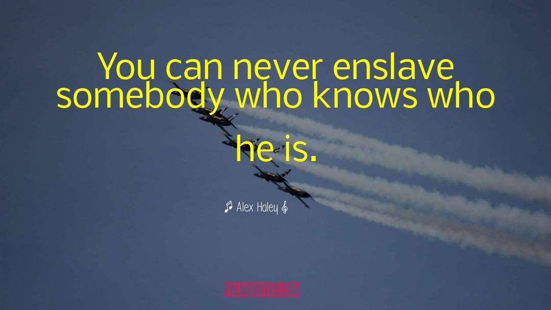 Alex Haley Quotes: You can never enslave somebody