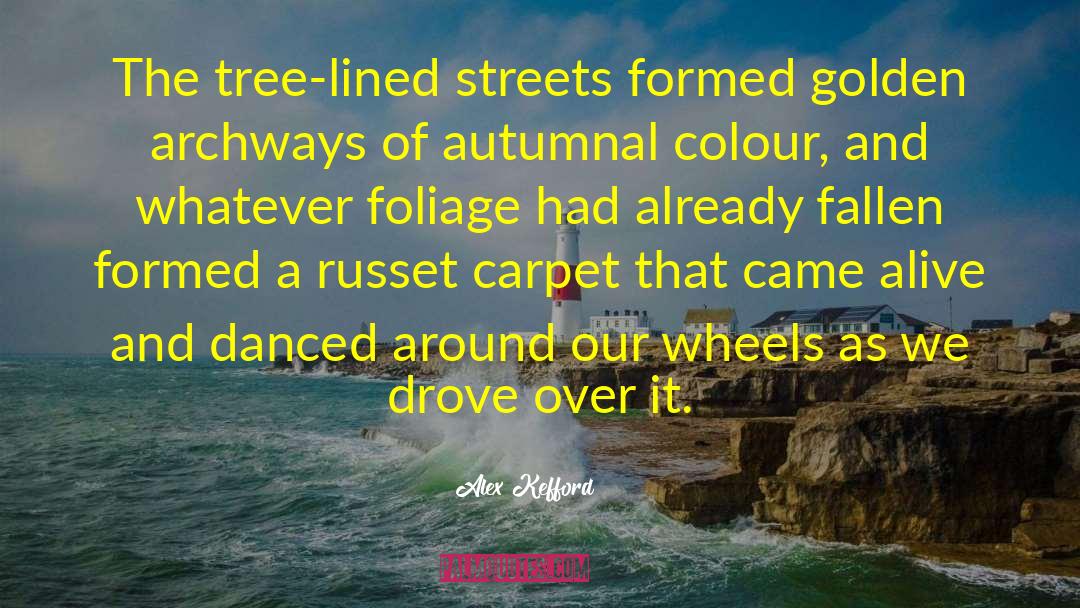 Alex Kefford Quotes: The tree-lined streets formed golden