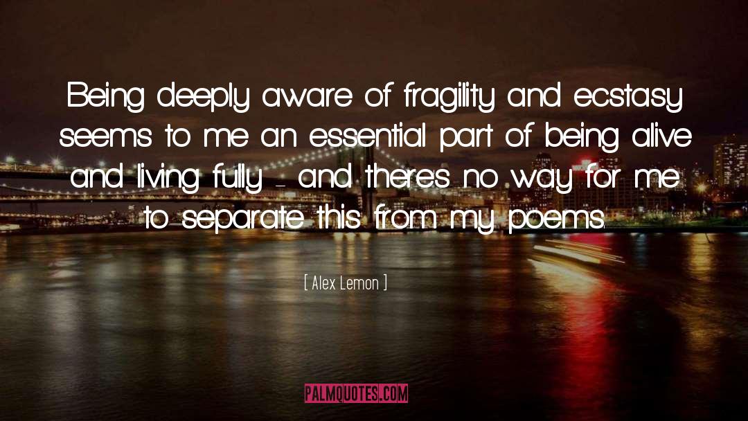 Alex Lemon Quotes: Being deeply aware of fragility