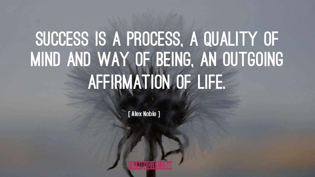 Alex Noble Quotes: Success is a process, a