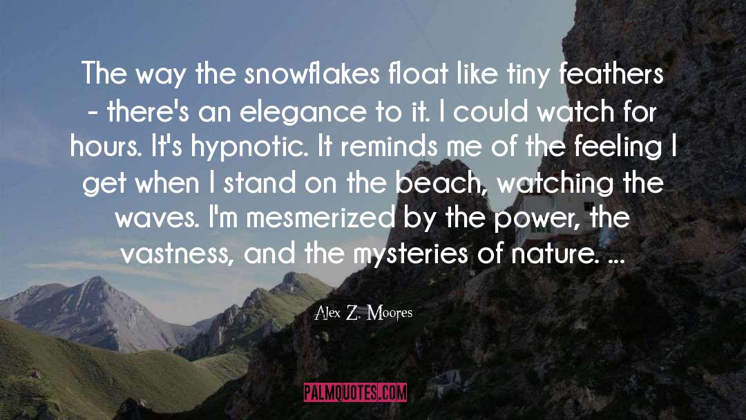 Alex Z. Moores Quotes: The way the snowflakes float