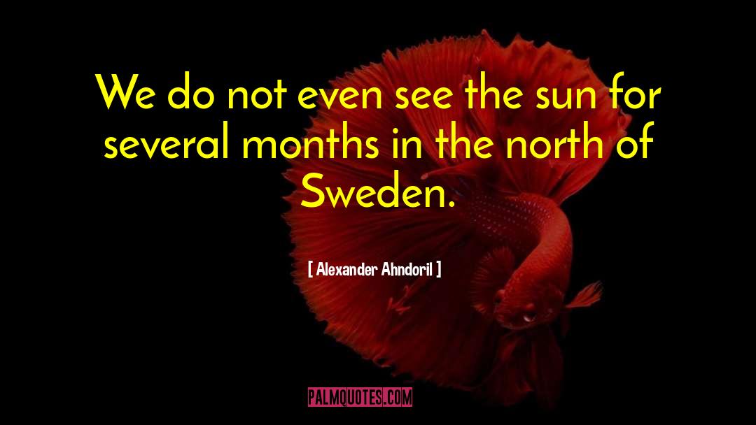 Alexander Ahndoril Quotes: We do not even see