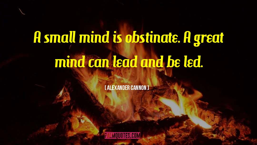 Alexander Cannon Quotes: A small mind is obstinate.
