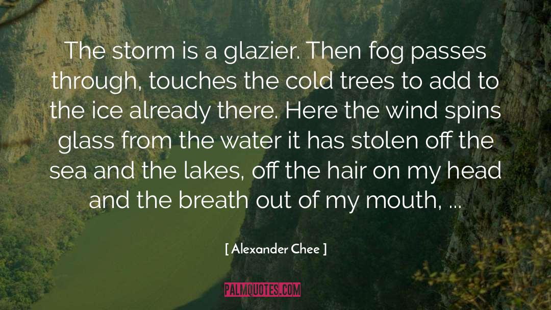 Alexander Chee Quotes: The storm is a glazier.