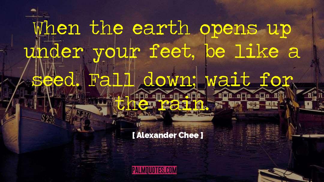 Alexander Chee Quotes: When the earth opens up