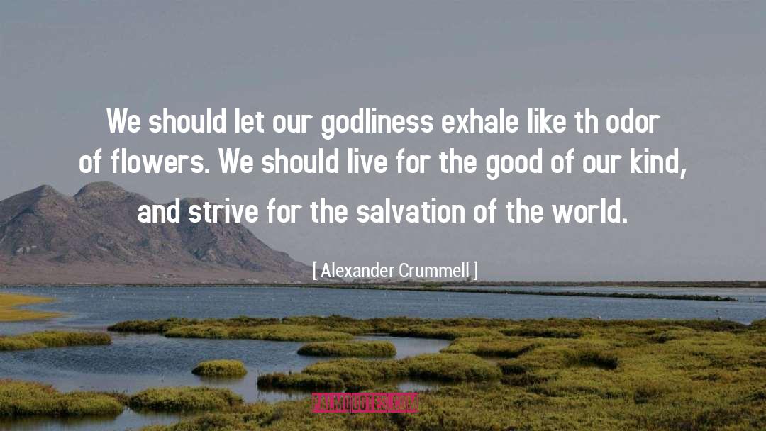 Alexander Crummell Quotes: We should let our godliness