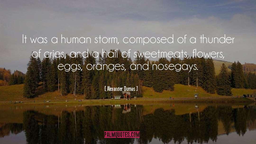 Alexander Dumas Quotes: It was a human storm,