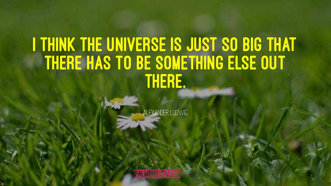 Alexander Ludwig Quotes: I think the universe is